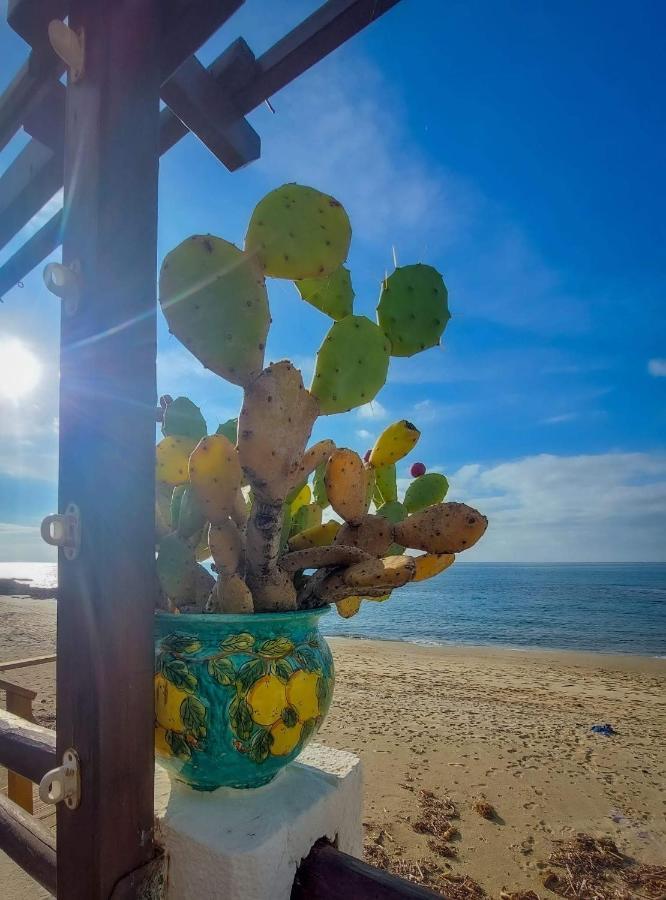 Appartamento La Coffa Agnone Cilento Exteriér fotografie