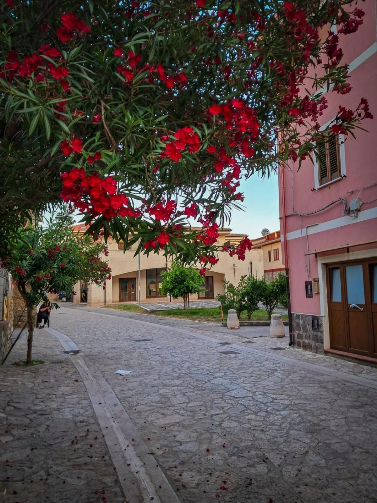 Appartamento La Coffa Agnone Cilento Exteriér fotografie